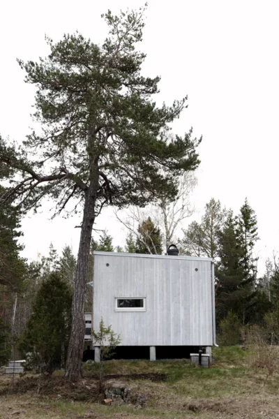 Attefallshus 2 år efter regeln infördes, bilden visar Enkelrums attefallshus i trä bredvid ett högt träd.