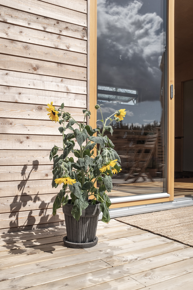 fritidshus inspiration uteplats