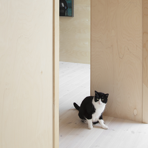 plywood interior add on