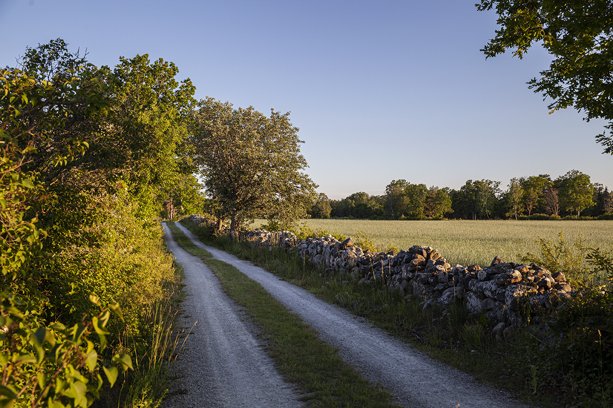 oland och natur 