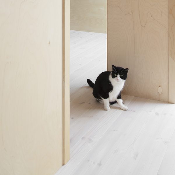Interior plywood E68