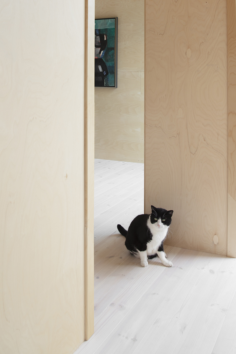 Fritidshus interior katt