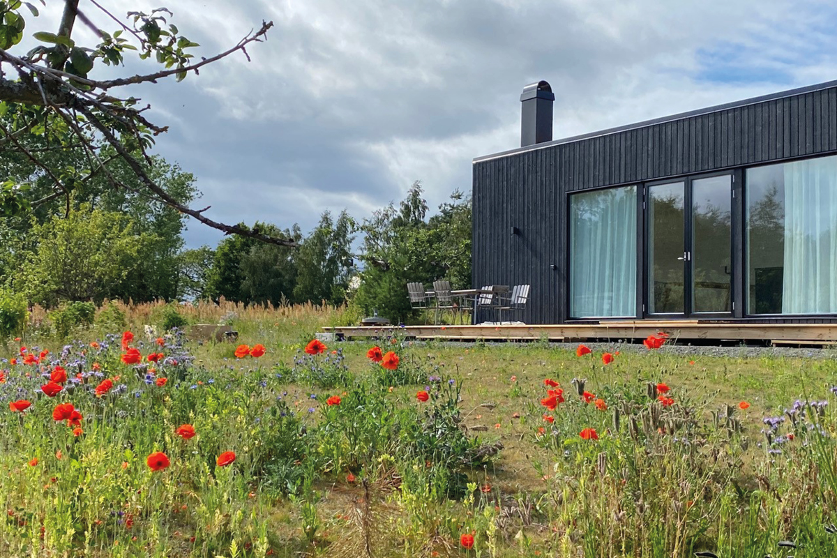 svart hus modernt tradgard