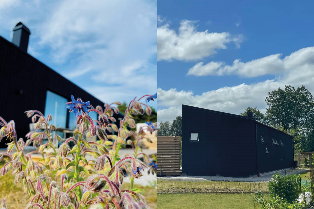 svart hus biodling skanelanga osterlen